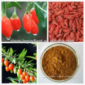 goji berry price/dried goji berry